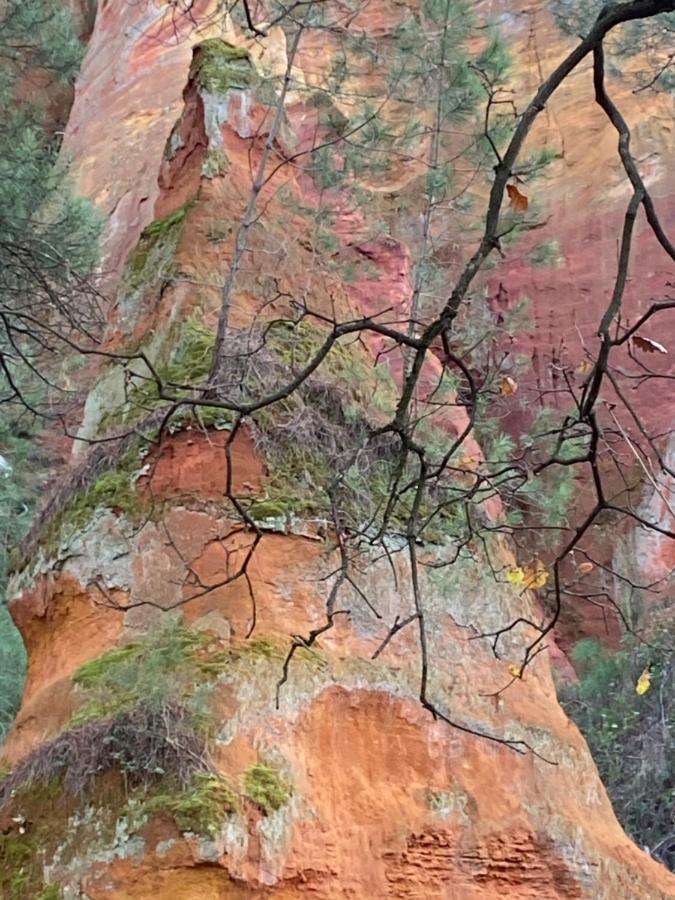 Villa Des Roses Roussillon  Luaran gambar