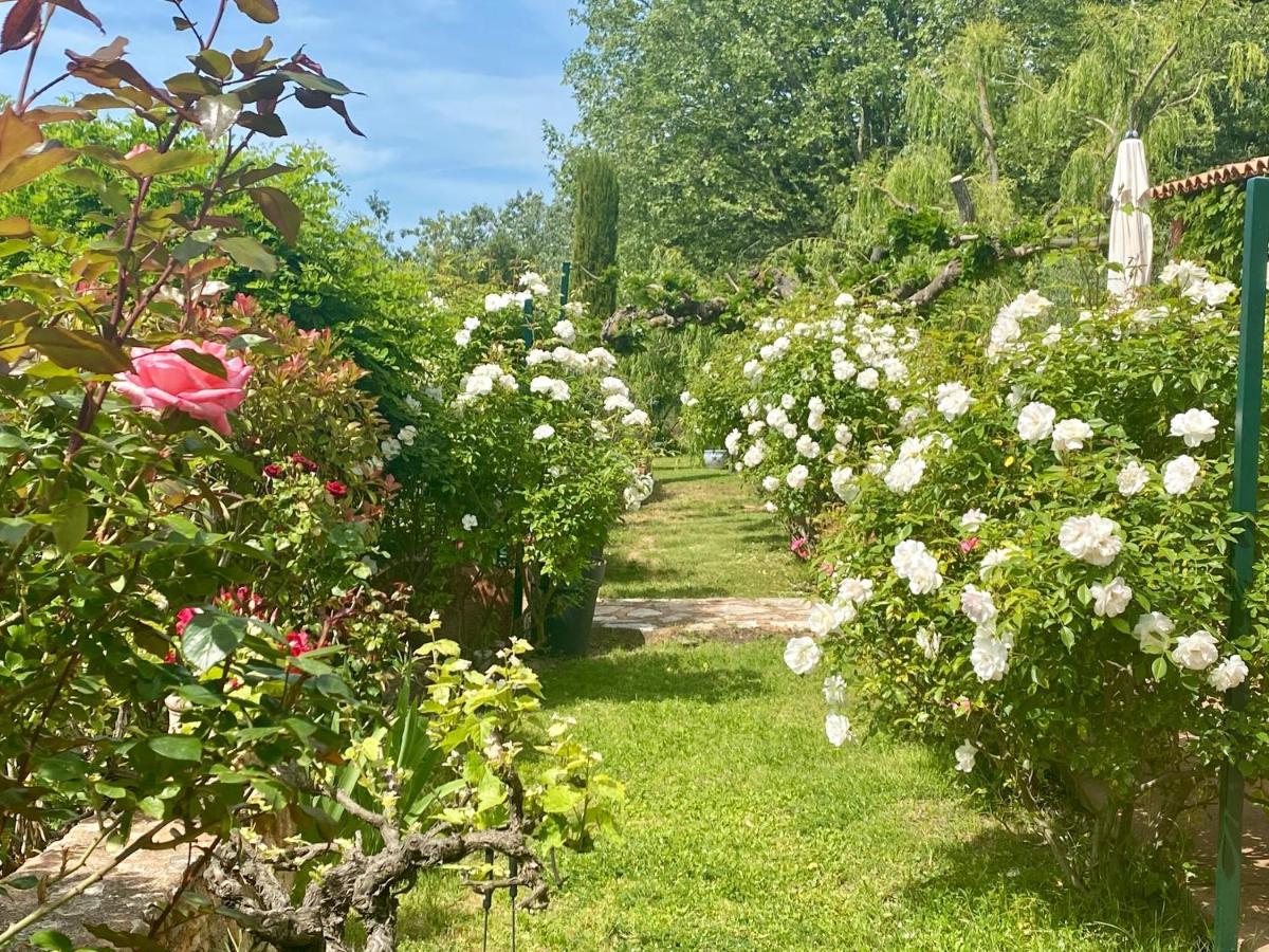 Villa Des Roses Roussillon  Luaran gambar